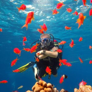BOAT DIVES - Tiran Island