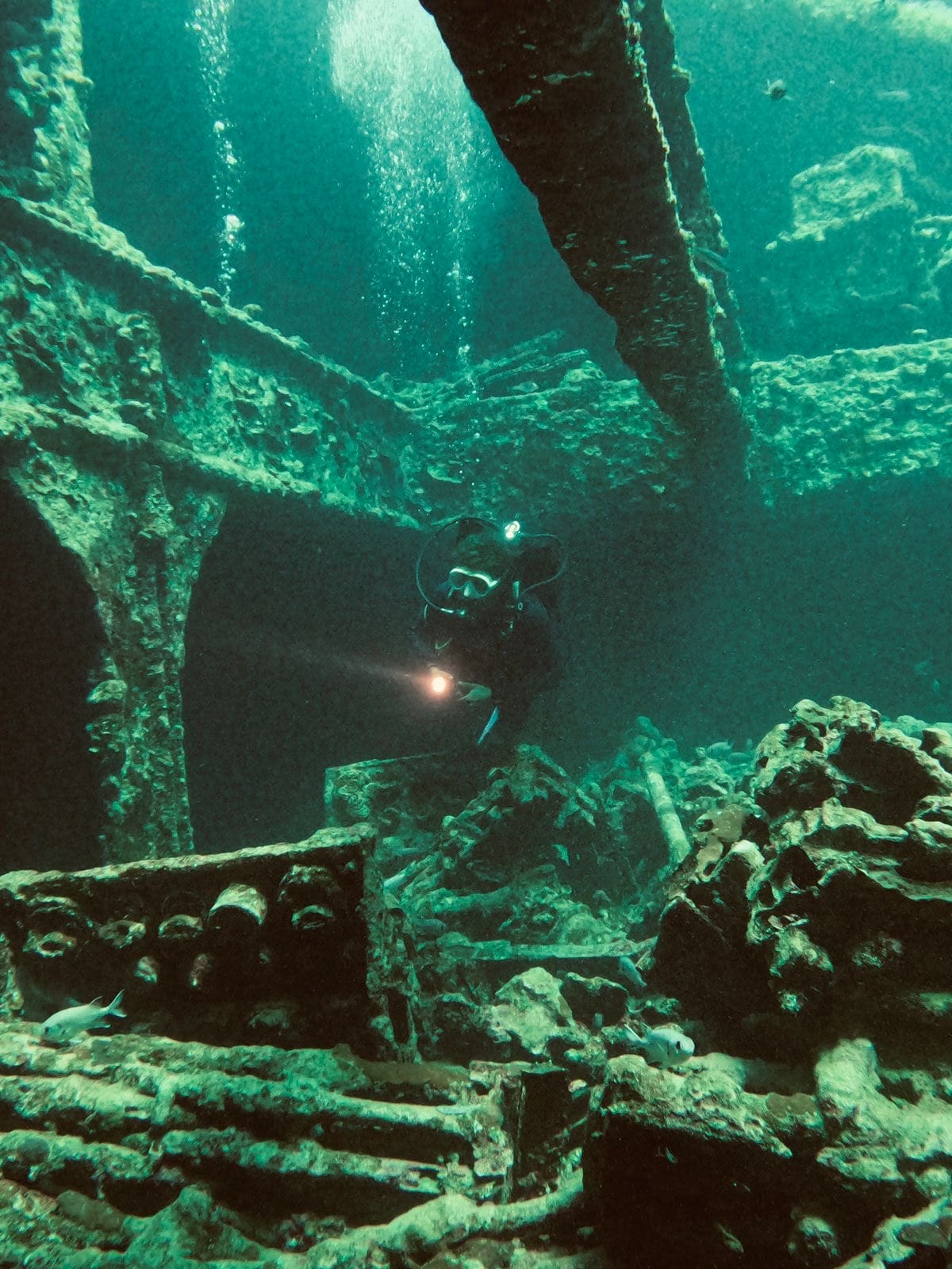 1ba085b8 0919 4618 be6a abf7589597d9