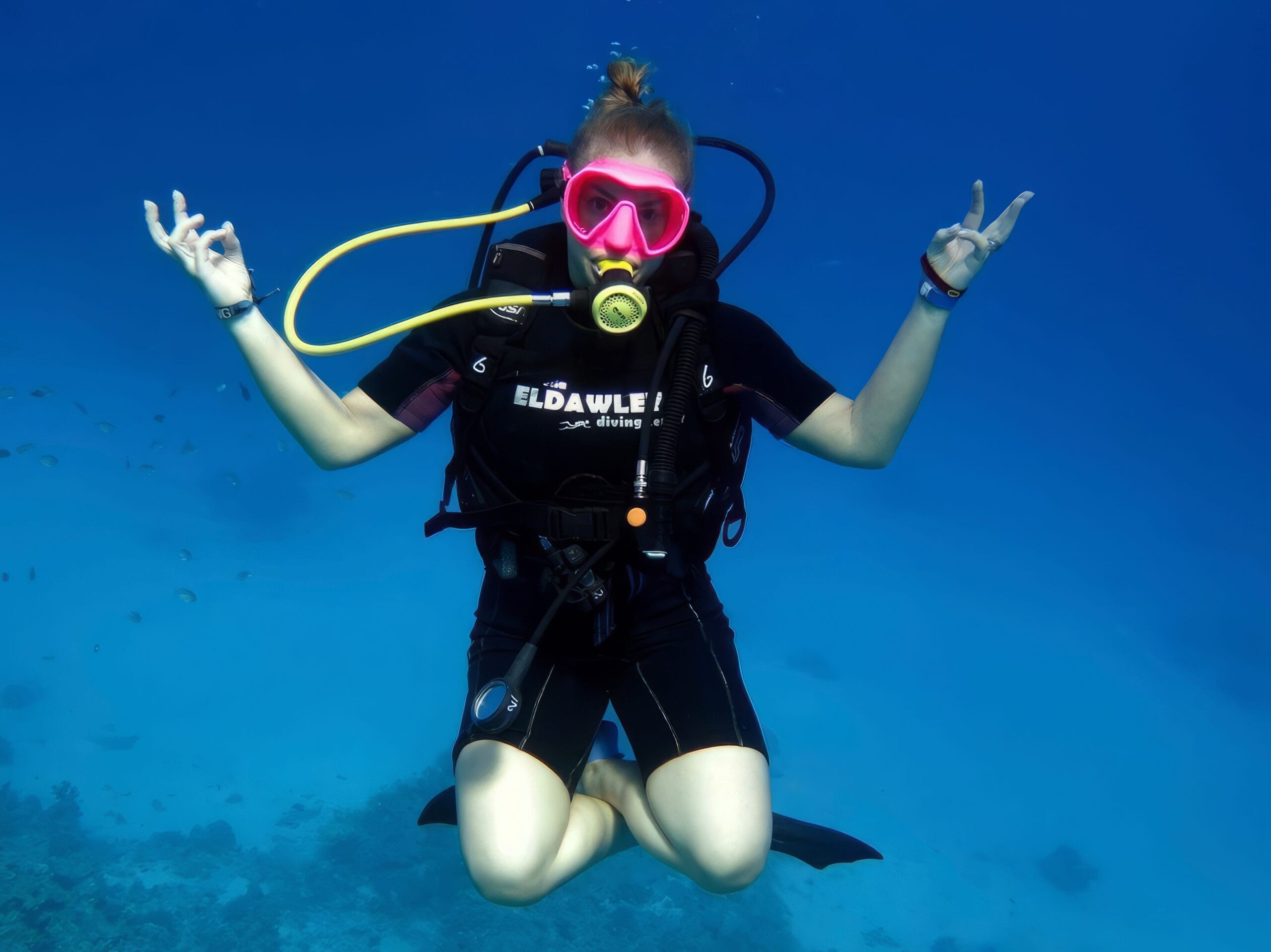 277318770_photo_1709685561618 scaled