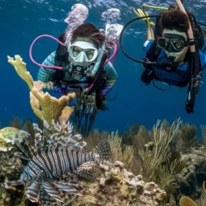 DISCOVER SCUBA DIVING - 30 min