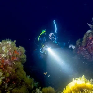 SHORE DIVES - Amphoras Reef - Night Dive