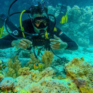 SHORE DIVES - Fanar Reef