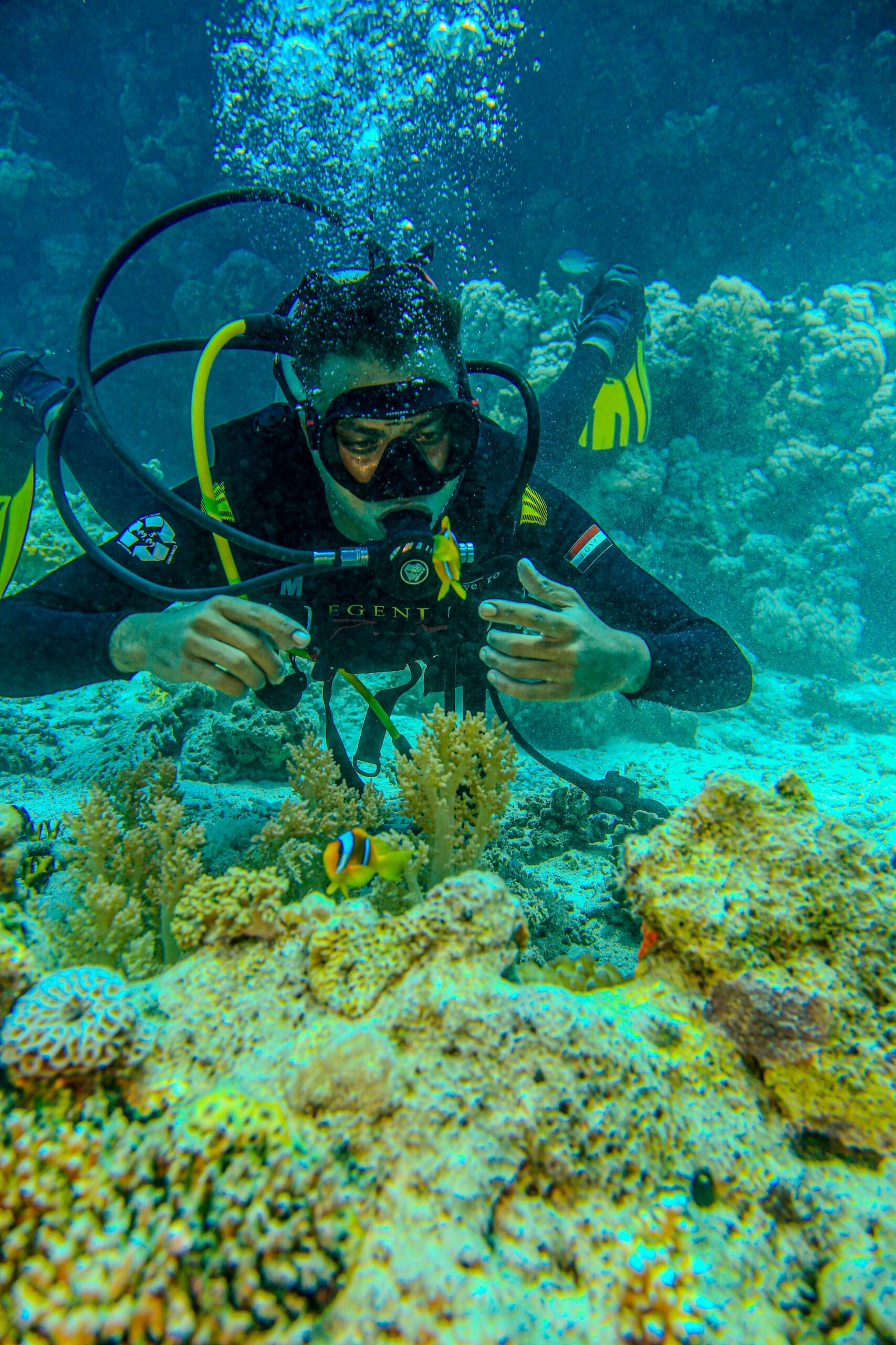 c8dacfbc 8cb8 4a8f a207 5644cc15d19b scaled