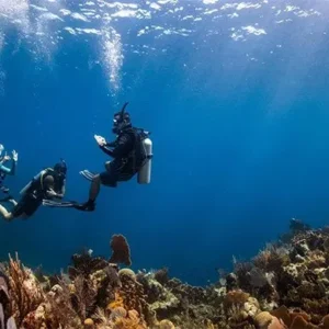 DISCOVER SCUBA DIVING - 10 min - extra