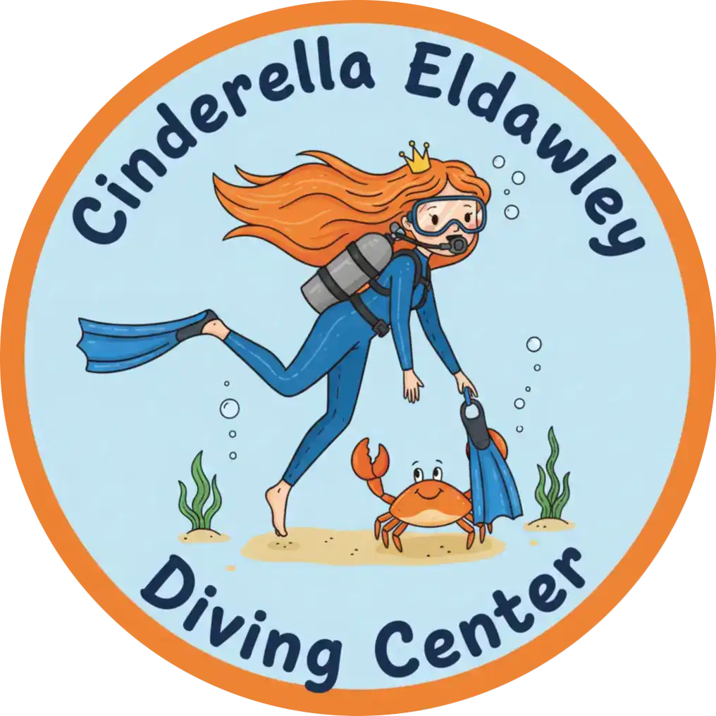 IMG_1940 modified modified